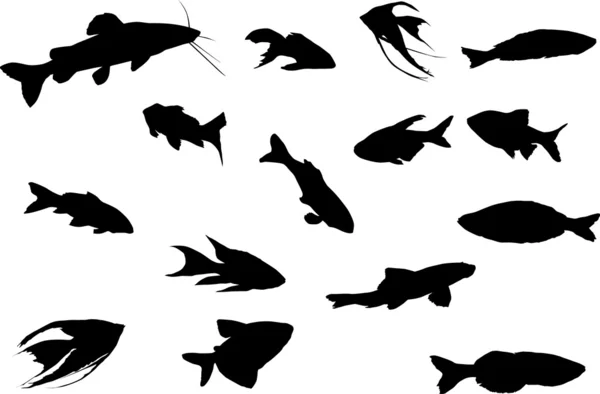 Fifteen fish silhouettes — Stock Vector