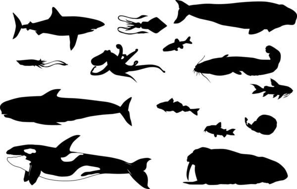 クジラや他の海洋動物 — ストックベクタ