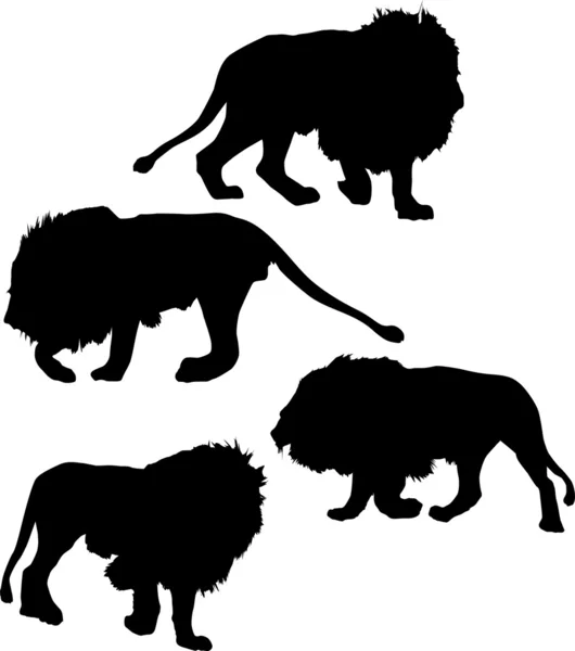 Dört aslan silhouettes — Stok Vektör