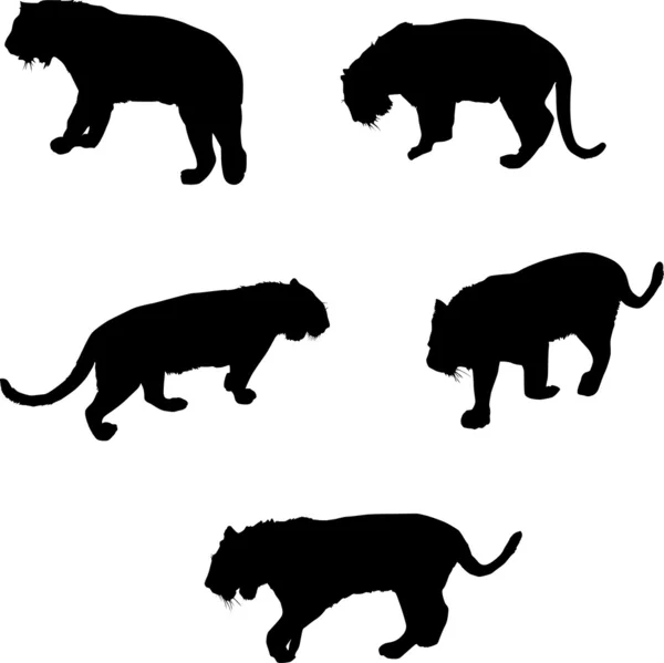 Vijf tijger silhouetten — Stockvector