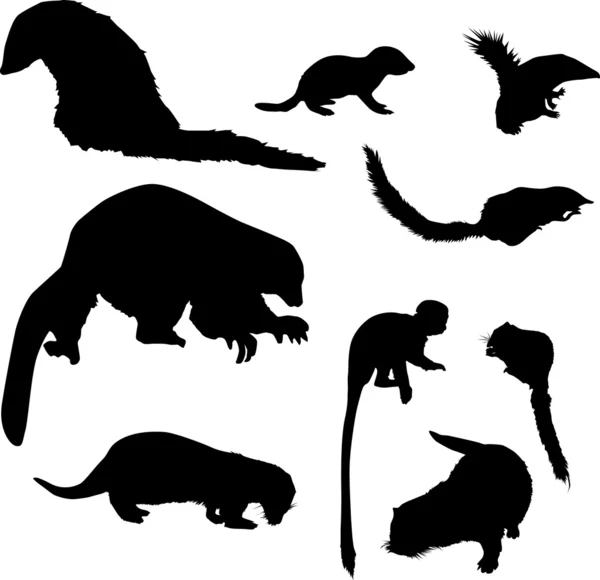 Kleine dierlijke silhouetten collectie — Stockvector