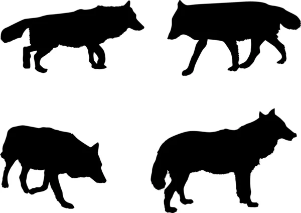 Four wolf silhouettes — Stock Vector