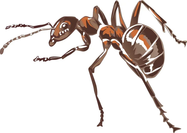 Enstaka bruna myran — Stock vektor