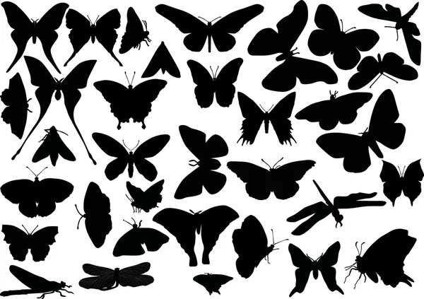 Siluetas de mariposa y libélula — Vector de stock