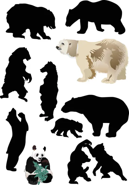 Medvék gyűjtemény — Stock Vector