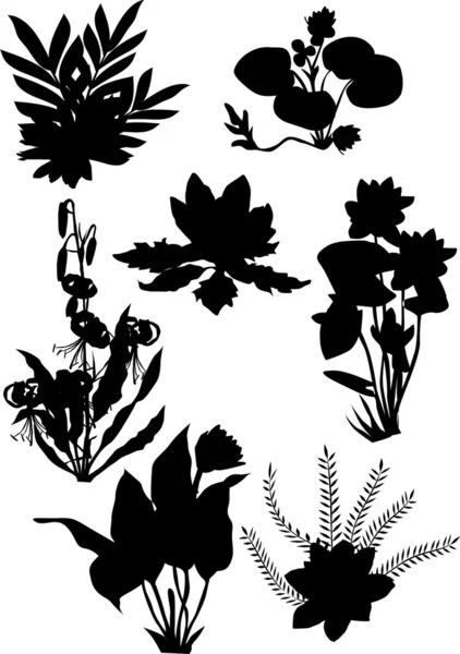 Lily ornamental silhouette — Stock Vector