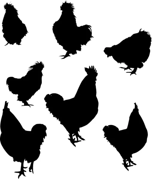 Seven rooster silhouettes — Stock Vector