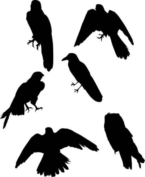Altı kuş silhouettes — Stok Vektör