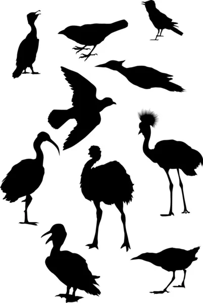 Tio svarta fåglar — Stock vektor
