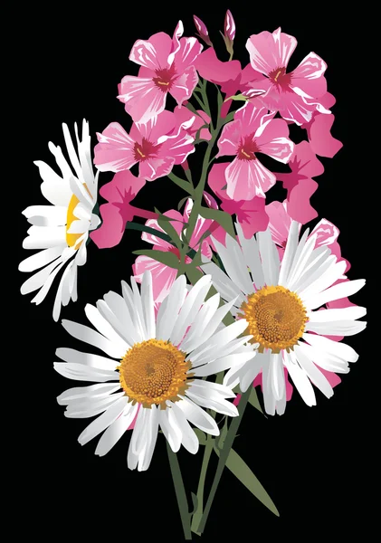 Bouquet aux camomilles — Image vectorielle