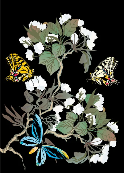 Butterflies and white flowers on black — Stock Vector