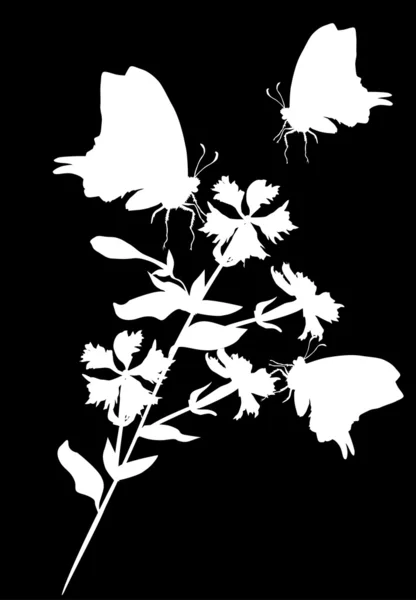 Bílý obrázek s třemi motýli — Stockový vektor