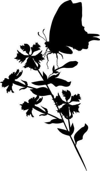 Enda fjäril och blommor — Stock vektor
