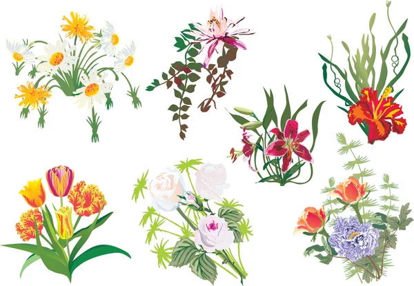 色の花セット — ストックベクタ