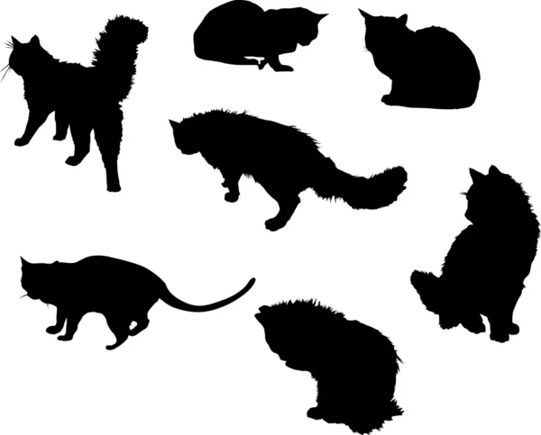 Sju katt siluetter — Stock vektor