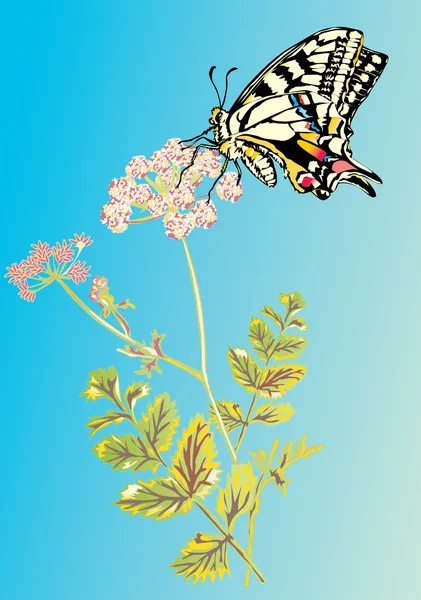 Легкий метелик і квітка на синьому — стоковий вектор