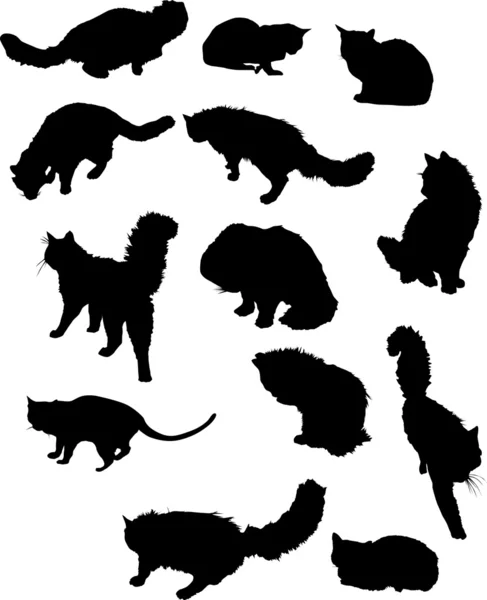 Třináct kočka siluety — Stockový vektor