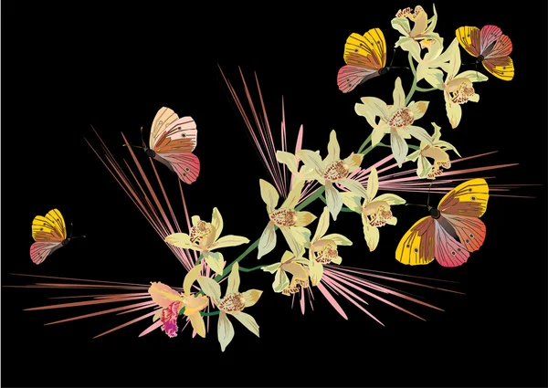 Πεταλούδες και το κίτρινο ochids σε μαύρο — Διανυσματικό Αρχείο