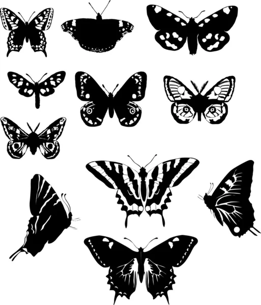 Eleven black and white butterflies — Stock Vector