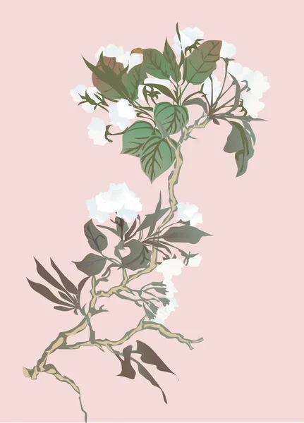 Kersenboom bloemen op roze — Stockvector