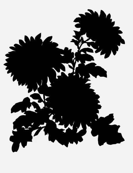 Chrysanthemum silhouette on grey — Stock Vector
