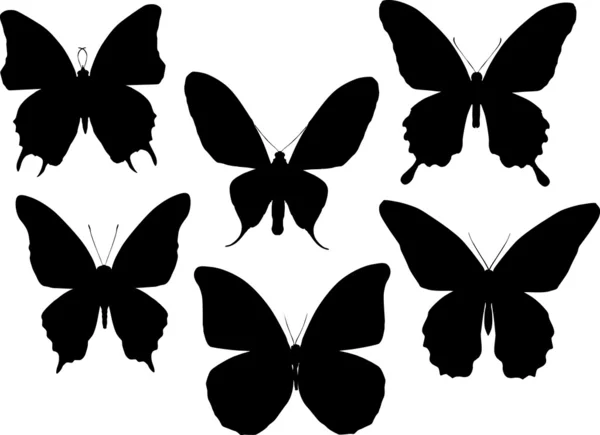 Six tropical butterfly silhouettes — Stock Vector