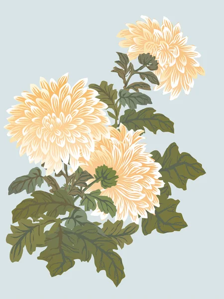 Yellow chrysanthemum illustration — Stock Vector