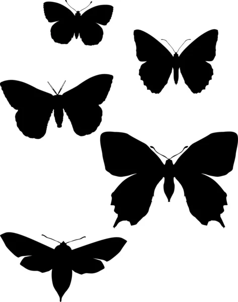 Fem silhuetter av fjärilar — Stock vektor