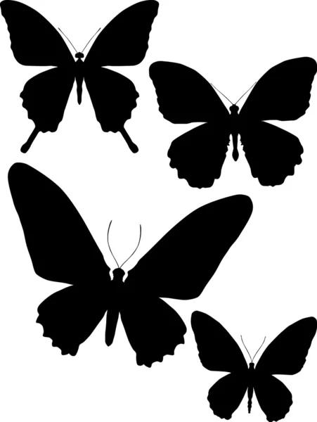 Vier tropische vlinder silhouetten — Stockvector