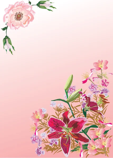 Pembe lily dekorasyon — Stok Vektör