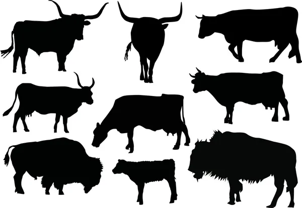Negen bull en koe silhouetten — Stockvector