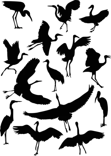 Collection silhouette cigogne — Image vectorielle