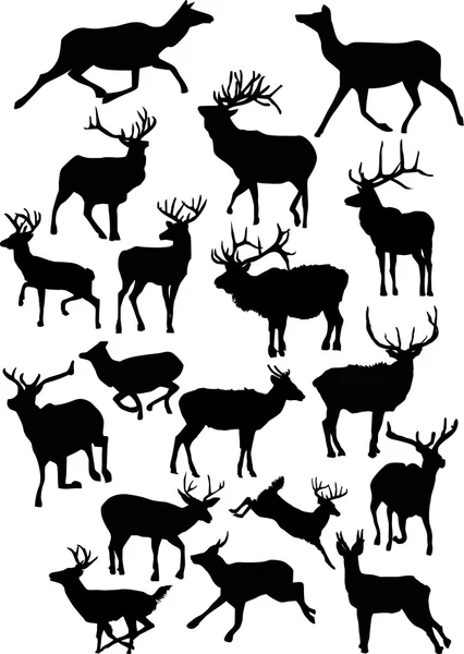 Dix-huit silhouettes de cerfs — Image vectorielle