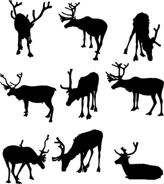 Nine reindeer silhouettes — Stock Vector