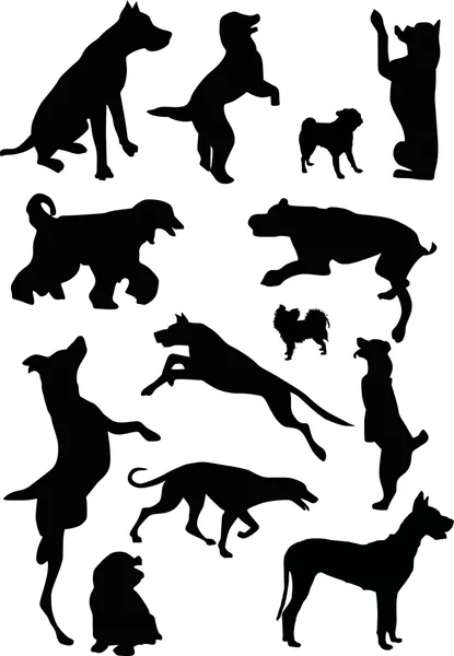 Thirteen dog silhouettes — Stock Vector