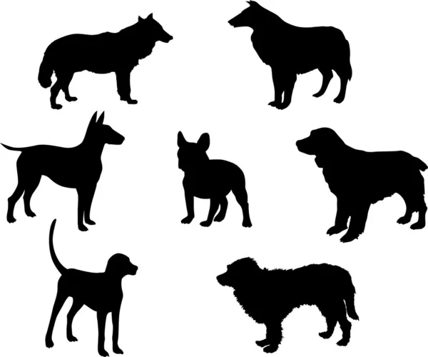 Set of seven dogs — Stock Vector