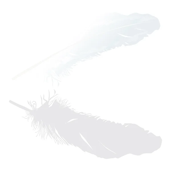stock vector isolated white feather with reflection