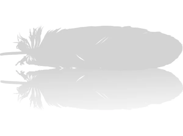 羽と反射の図 — ストックベクタ