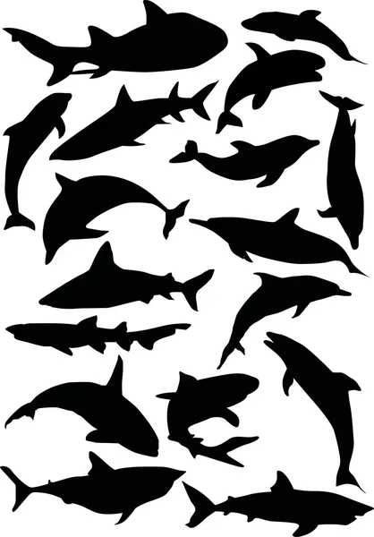 Delfines y tiburones — Vector de stock