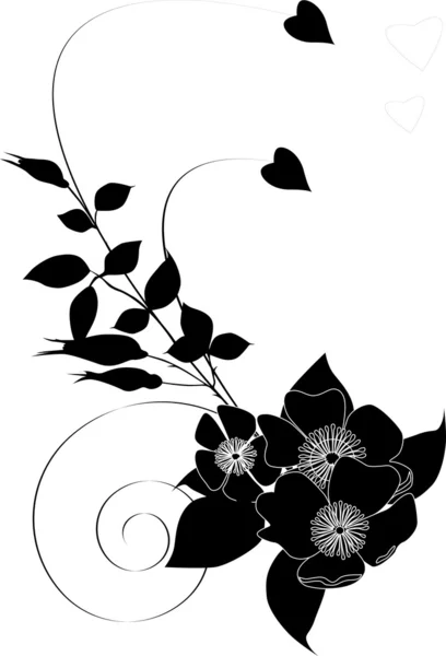 Noir brier curl — Image vectorielle