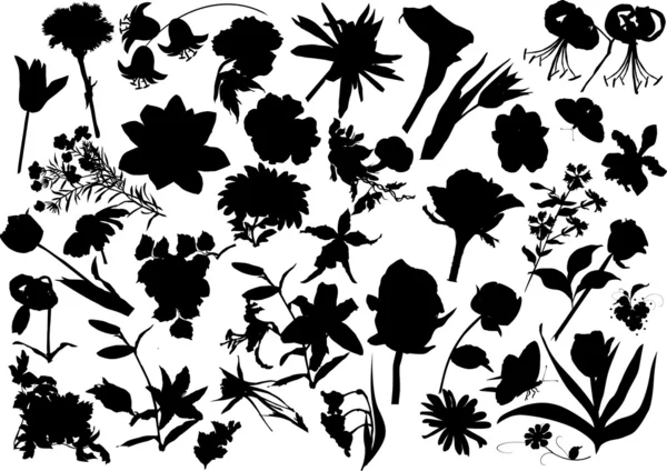 Thirty four flower silhouettes — Stock Vector