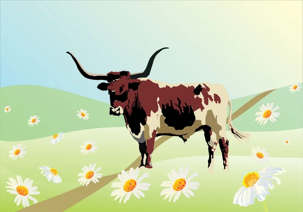 Bull on camomile field — Stock Vector