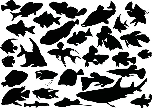 Třicet ryb siluety — Stockový vektor