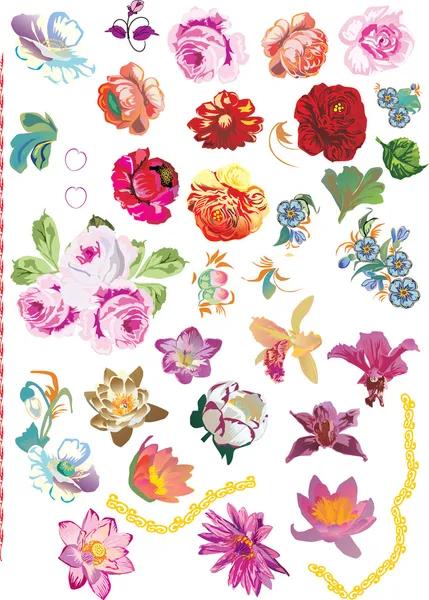 Belle collection de fleurs — Image vectorielle