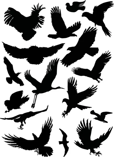 黑色飞行的鸟 — 图库矢量图片