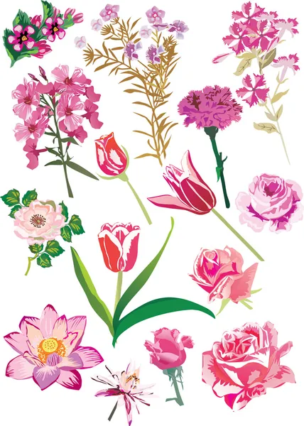 Pembe çiçek koleksiyonu — Stok Vektör