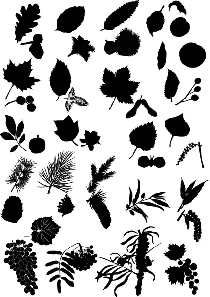 Trees leaves and fruits silhouettes — Stock Vector