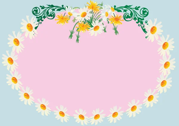 Camomilla bianca cornice floreale — Vettoriale Stock