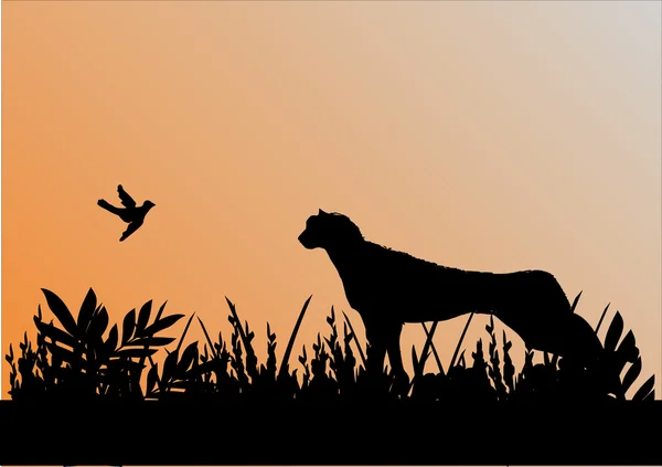 Silhouet van cheetah en vogel — Stockvector