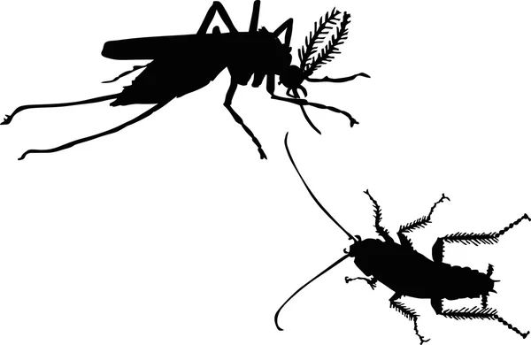 Mygga och kackerlacka — Stock vektor